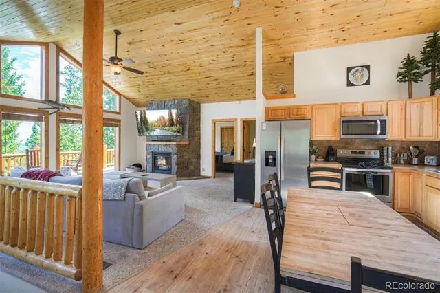 272 Porcupine Road Fairplay, CO 80440
