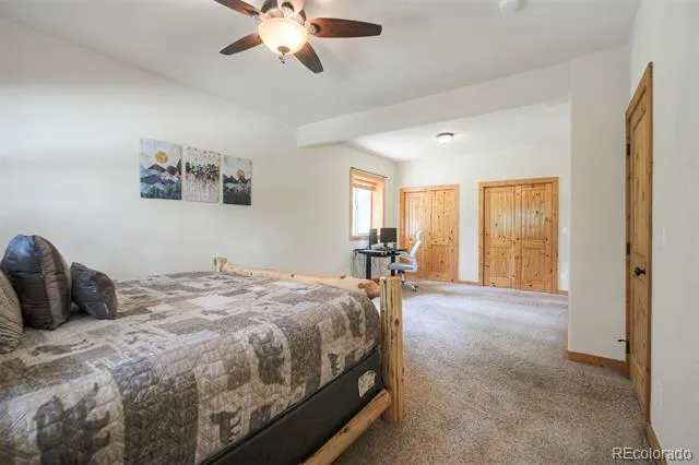 272 Porcupine Road Fairplay, CO 80440
