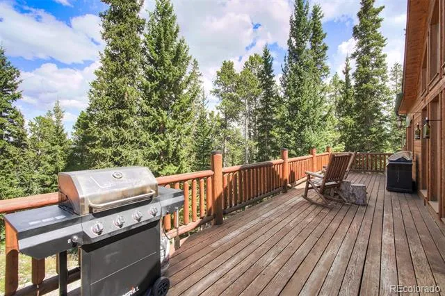 272 Porcupine Road Fairplay, CO 80440