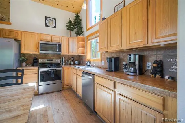 272 Porcupine Road Fairplay, CO 80440