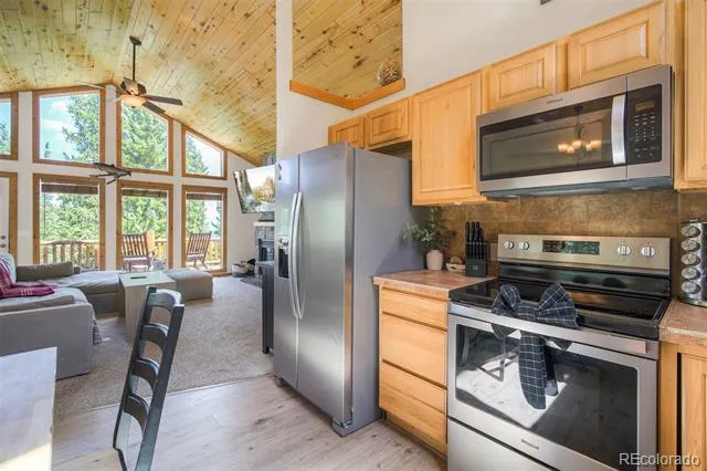 272 Porcupine Road Fairplay, CO 80440