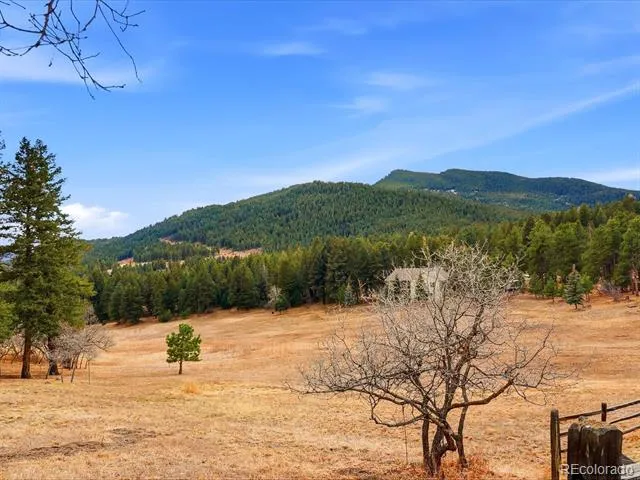 7540 S Homesteader Drive Morrison, CO 80465