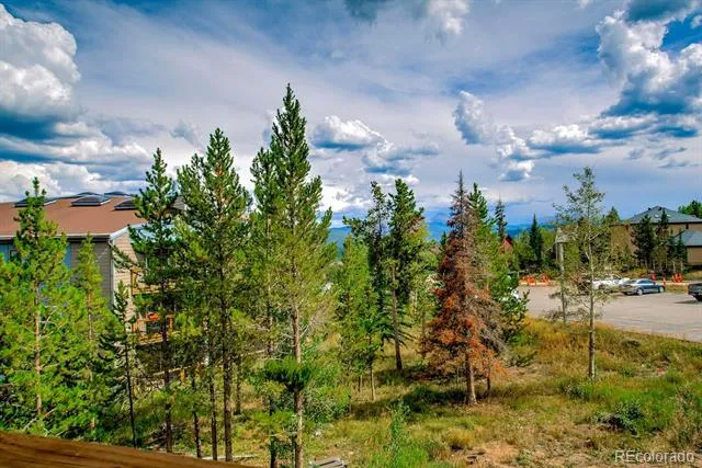 4400 Lodge Pole Circle #H204 Silverthorne, CO 80498