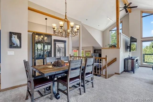 203 Valley View Lane Pine, CO 80470