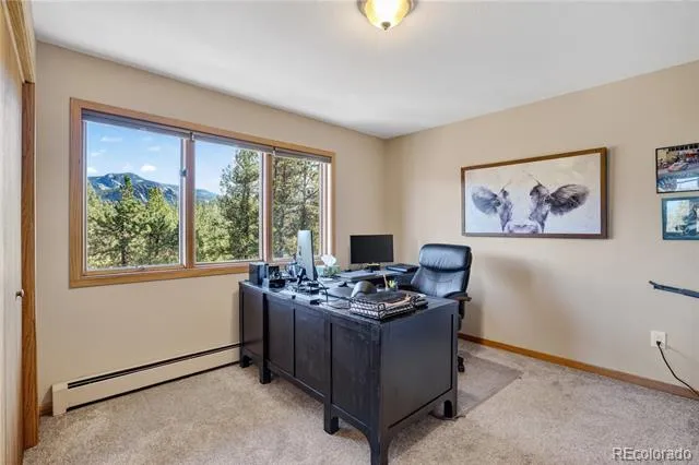 203 Valley View Lane Pine, CO 80470