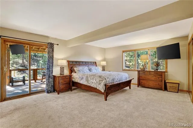 203 Valley View Lane Pine, CO 80470