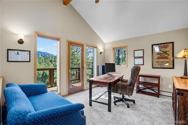 203 Valley View Lane Pine, CO 80470