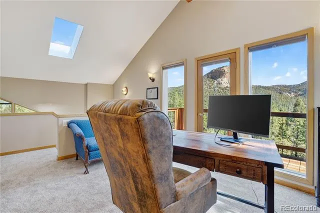 203 Valley View Lane Pine, CO 80470