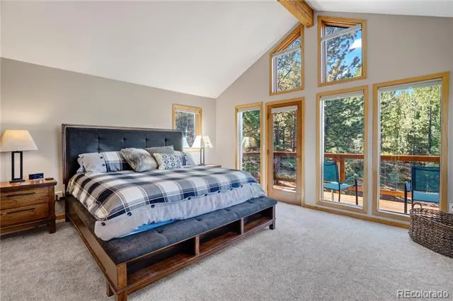 203 Valley View Lane Pine, CO 80470