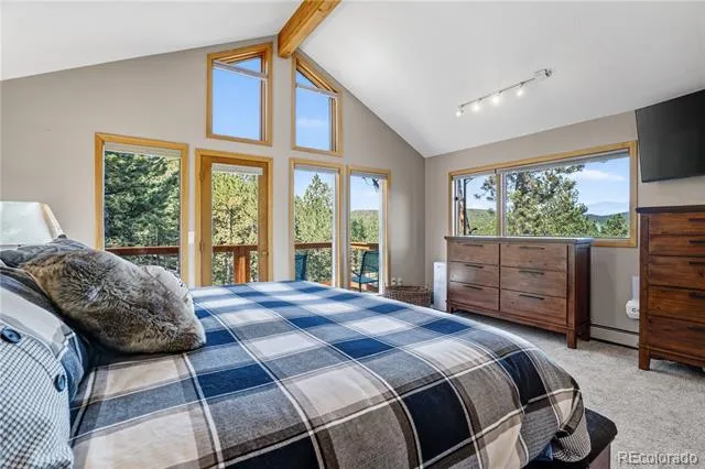 203 Valley View Lane Pine, CO 80470