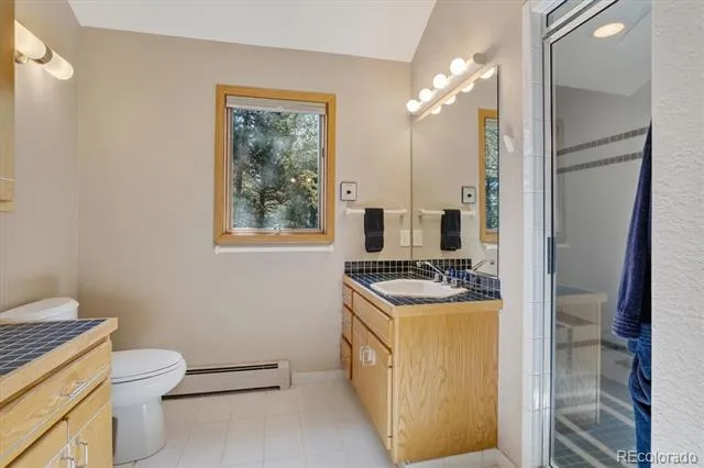 203 Valley View Lane Pine, CO 80470