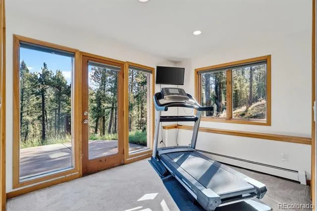 203 Valley View Lane Pine, CO 80470