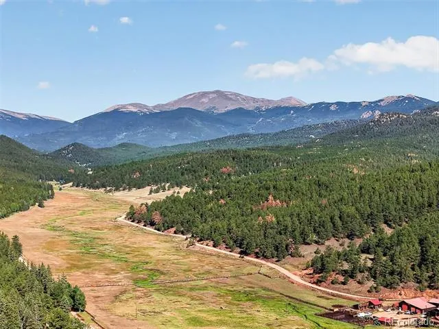 203 Valley View Lane Pine, CO 80470
