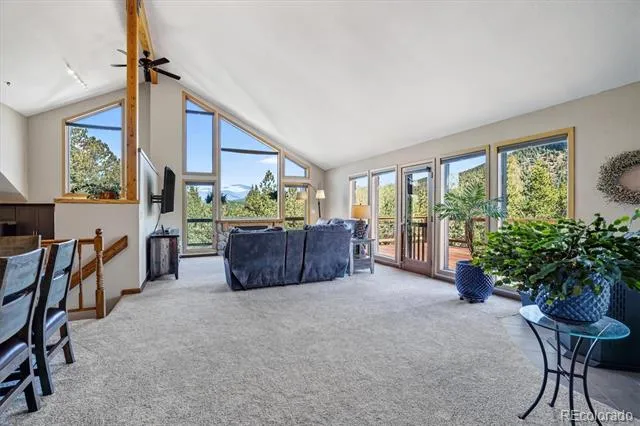 203 Valley View Lane Pine, CO 80470