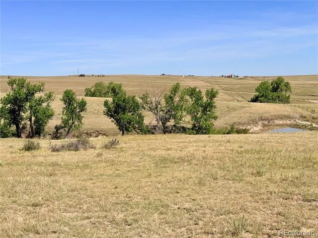 8557 Highway 86 Kiowa, CO 80117