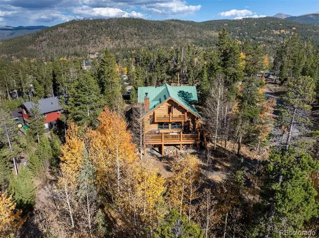 878 American Way Breckenridge, CO 80424