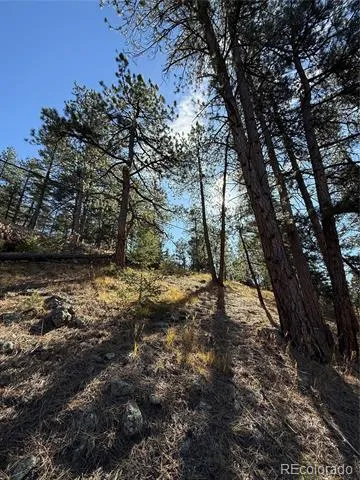 7438 S Turkey Creek Road Morrison, CO 80465