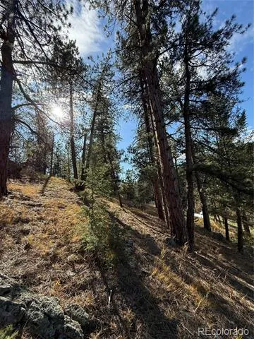 7438 S Turkey Creek Road Morrison, CO 80465