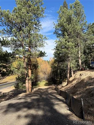 7438 S Turkey Creek Road Morrison, CO 80465