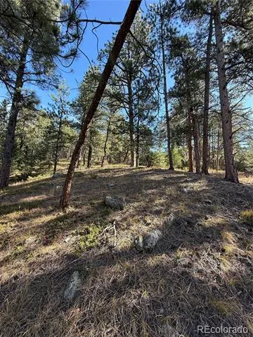 7438 S Turkey Creek Road Morrison, CO 80465