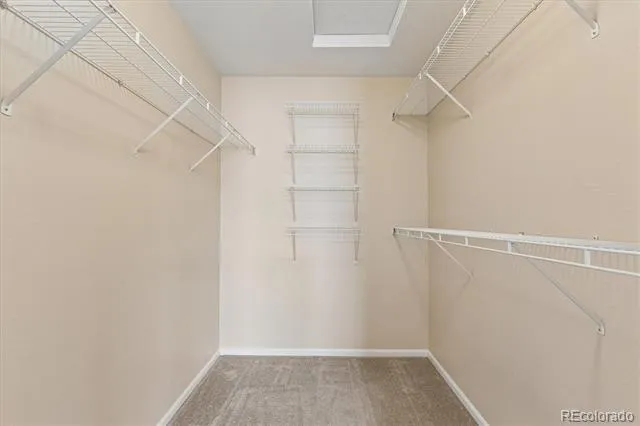 6010 Conductors Point Colorado Springs, CO 80923
