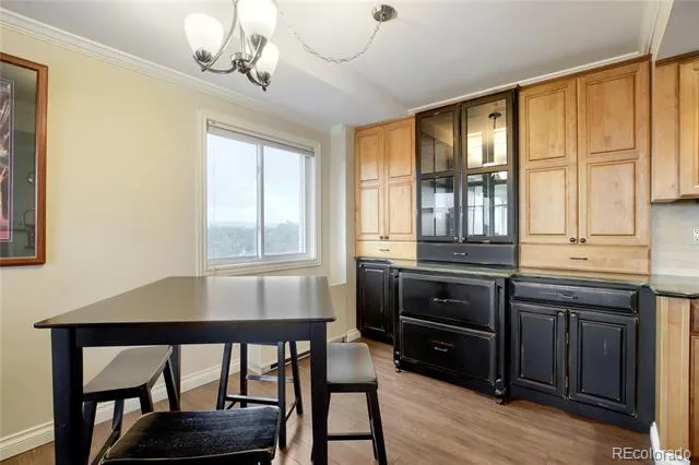 421 S Howes Street #807 Fort Collins, CO 80521