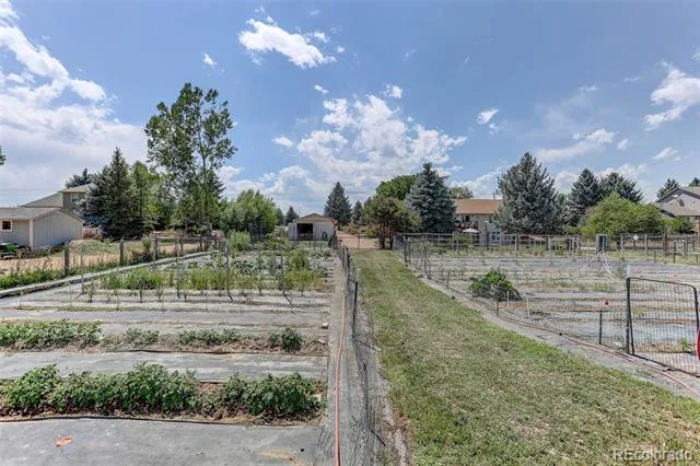 14804 County Road 7 Mead, CO 80542