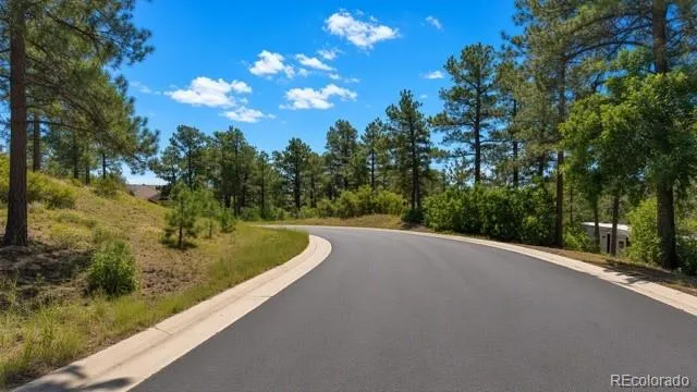 1251 Valley View Drive Larkspur, CO 80118