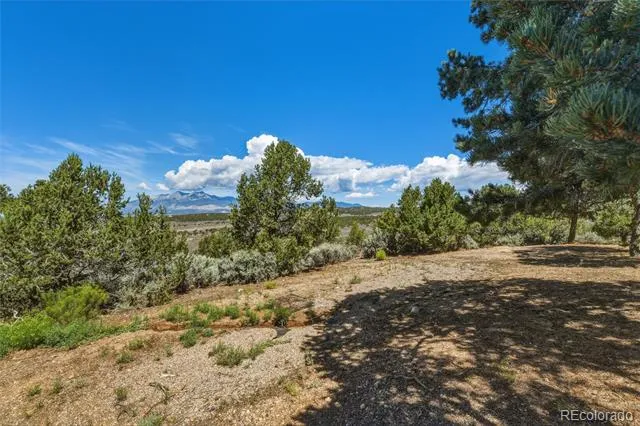 7002 Valerie Road Fort Garland, CO 81133