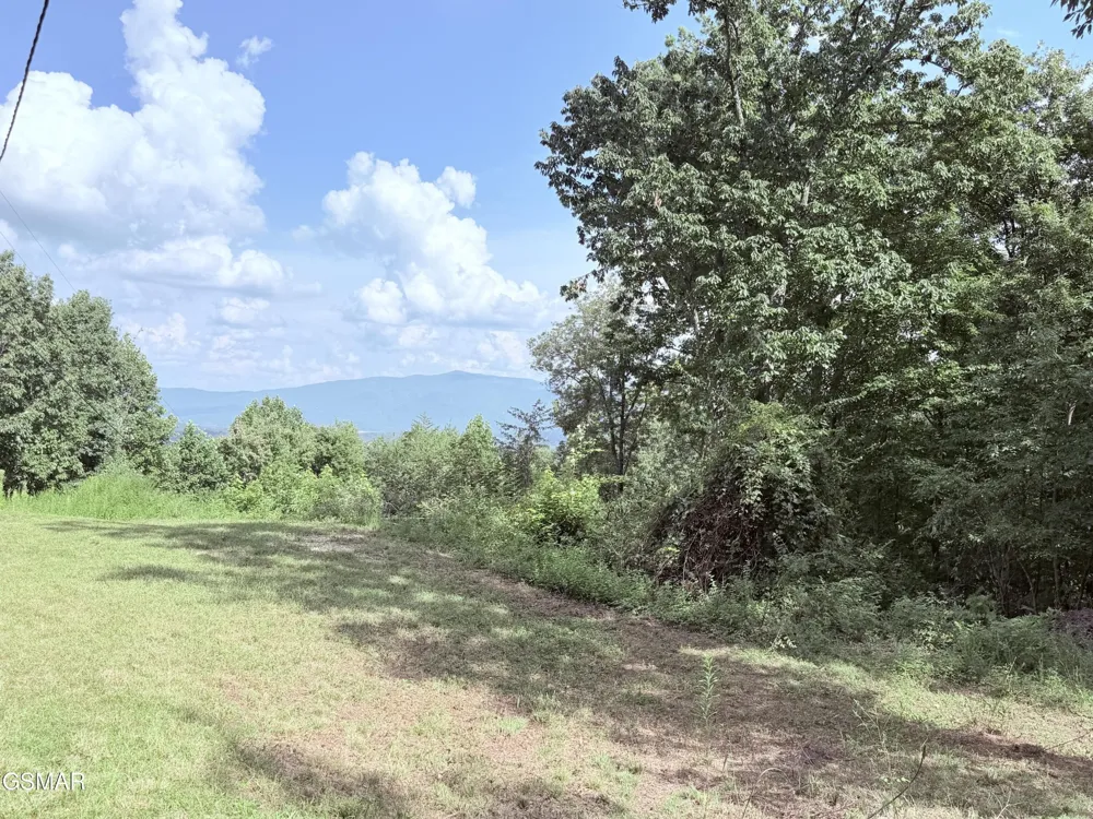 999 Manna Way Cosby, TN 37722