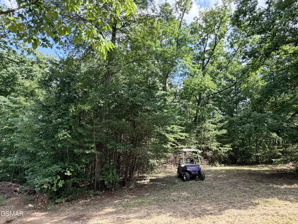 999 Manna Way Cosby, TN 37722