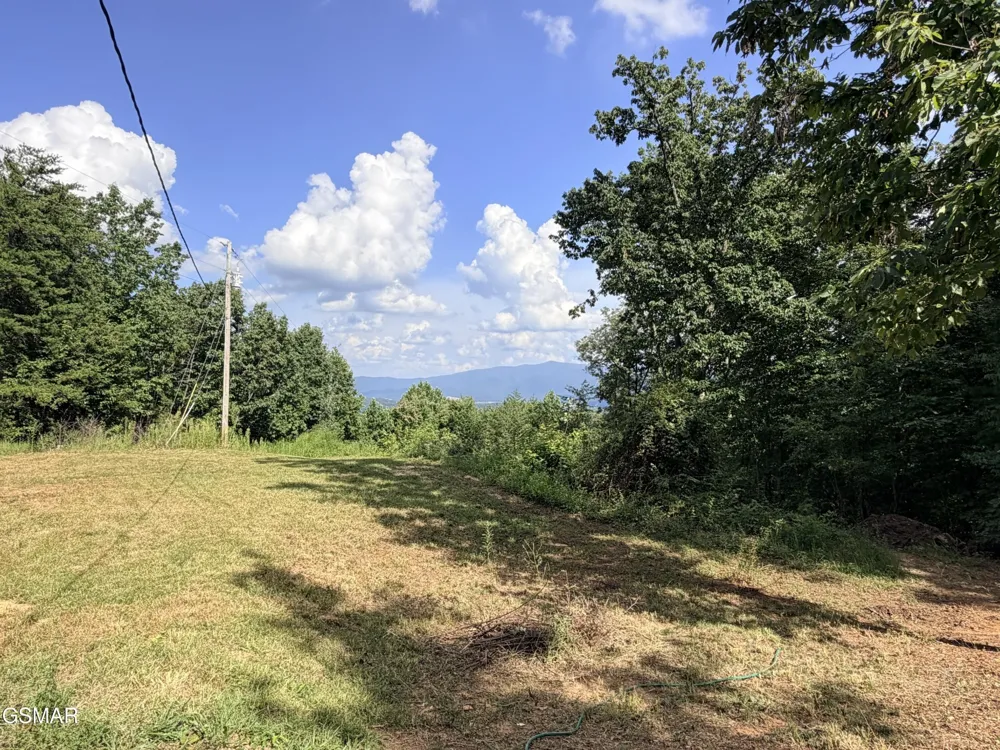 999 Manna Way Cosby, TN 37722