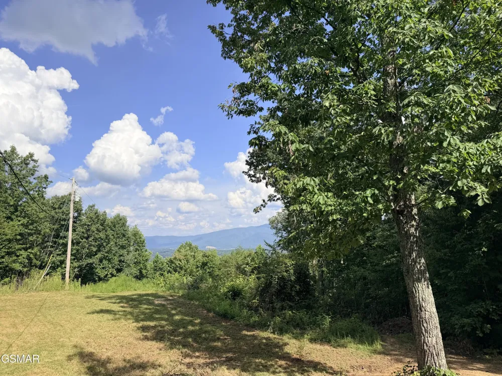 999 Manna Way Cosby, TN 37722