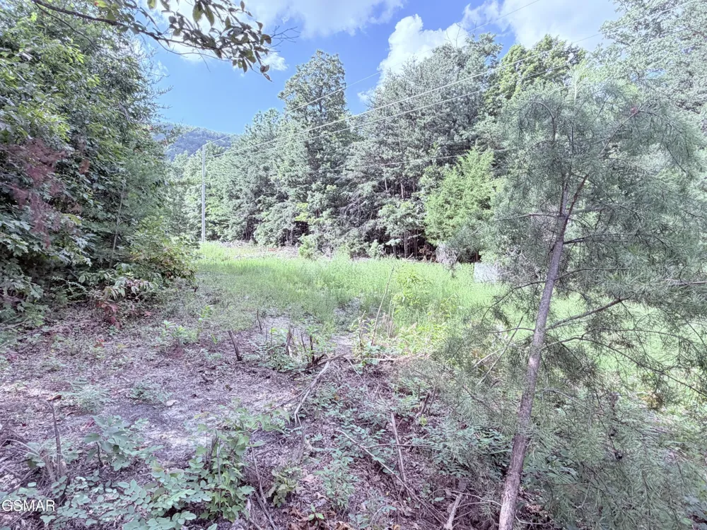 999 Manna Way Cosby, TN 37722