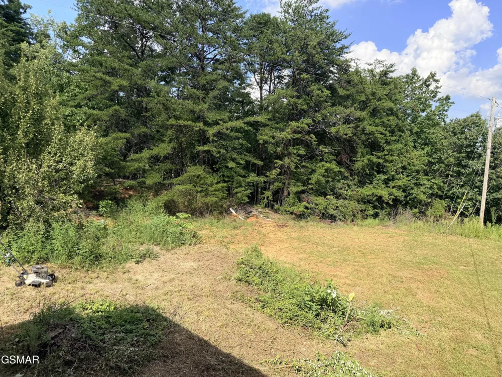 999 Manna Way Cosby, TN 37722
