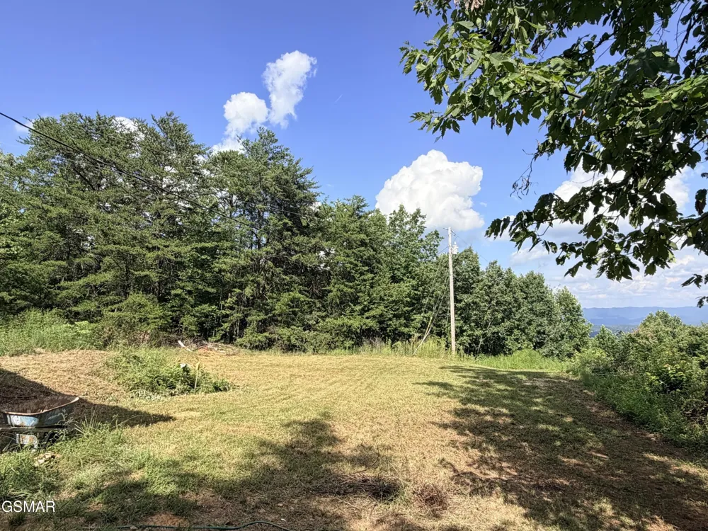 999 Manna Way Cosby, TN 37722