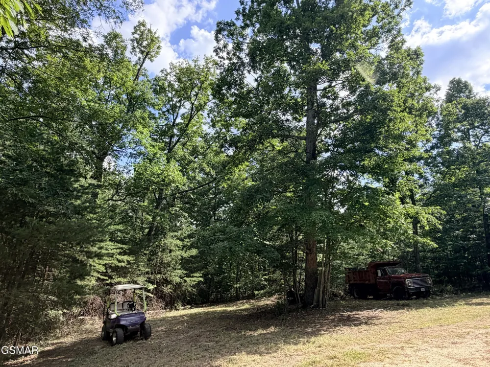 999 Manna Way Cosby, TN 37722