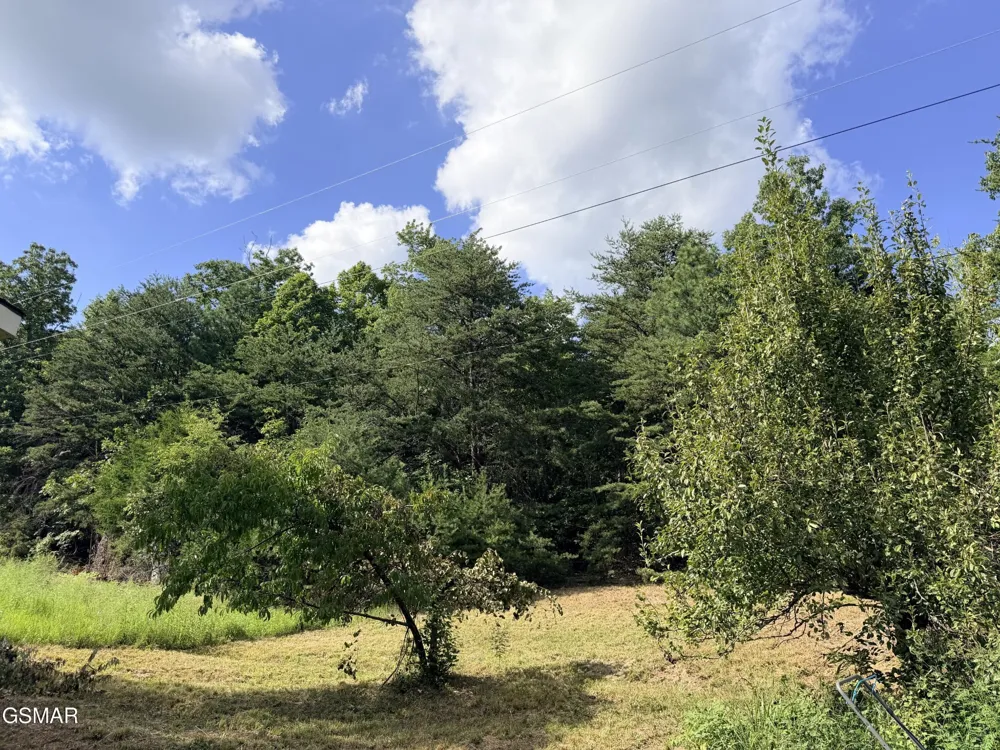 999 Manna Way Cosby, TN 37722