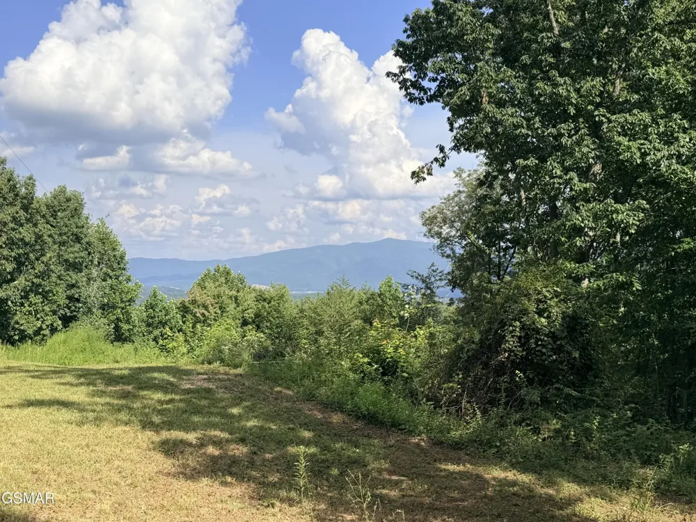 999 Manna Way Cosby, TN 37722