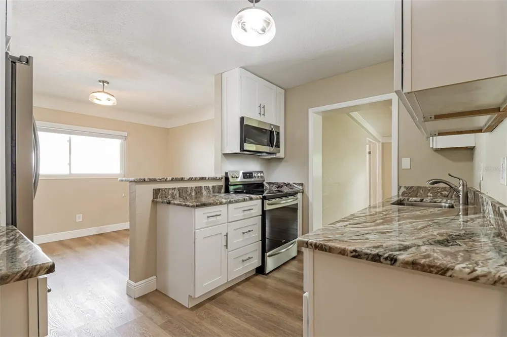 10293 SATSUMA ROAD Seminole, FL 33772