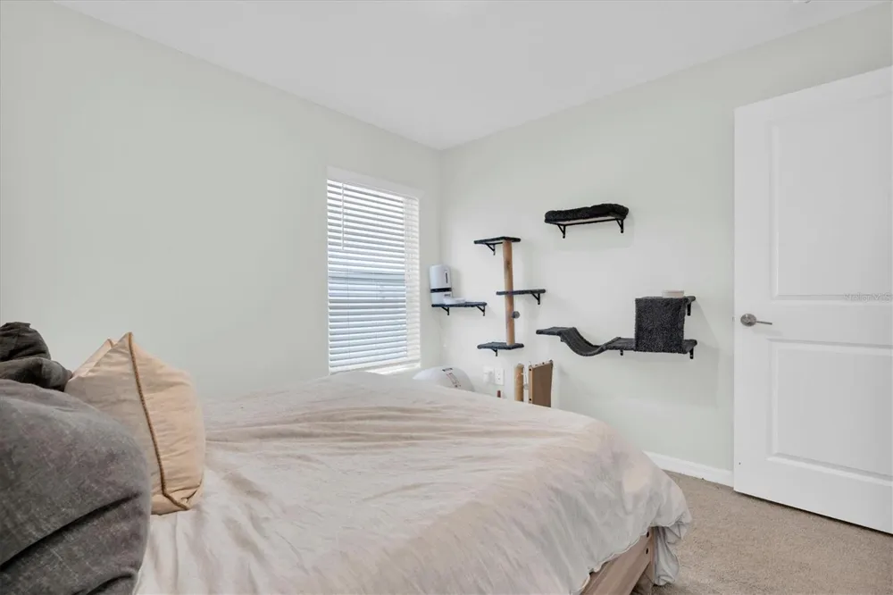 10155 GENTLE RAIN DRIVE Land O Lakes, FL 34638