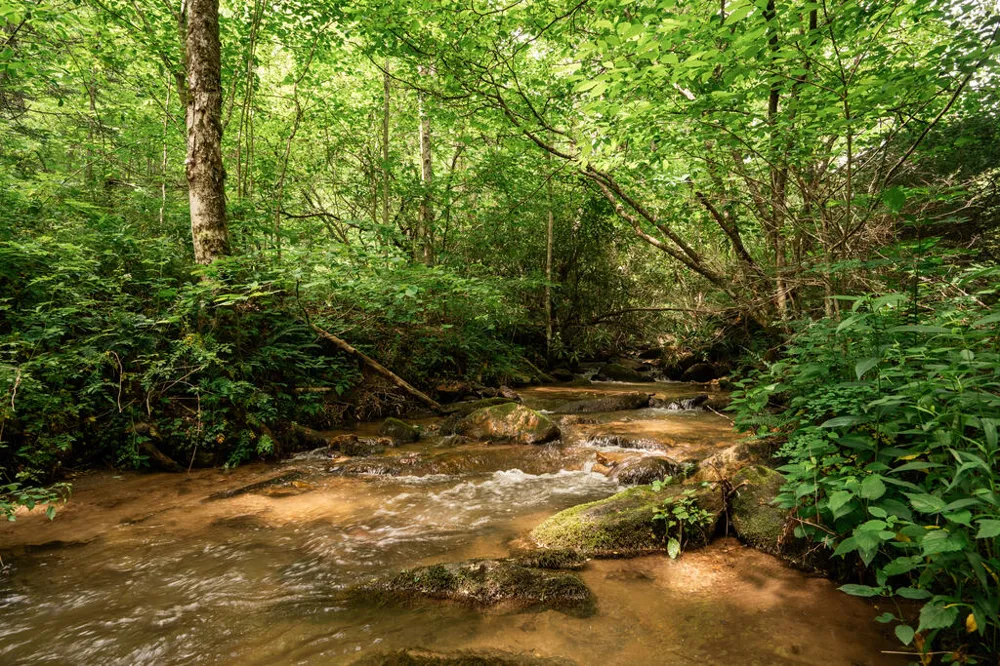Walnut Creek Road Franklin, NC 28734