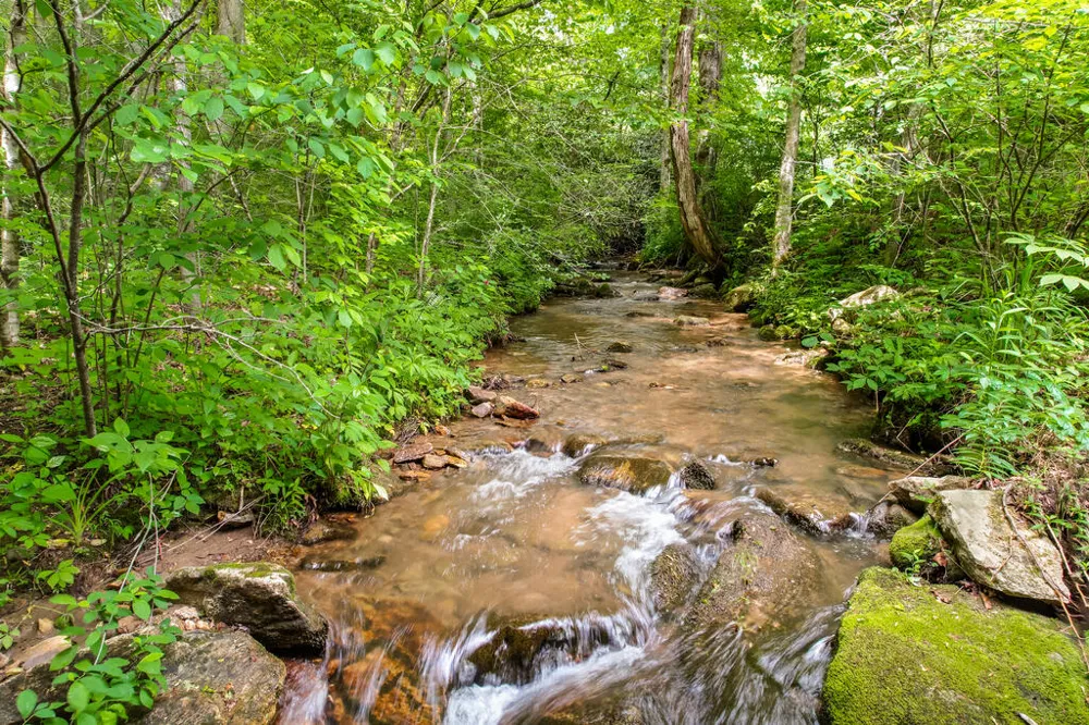 Walnut Creek Road Franklin, NC 28734