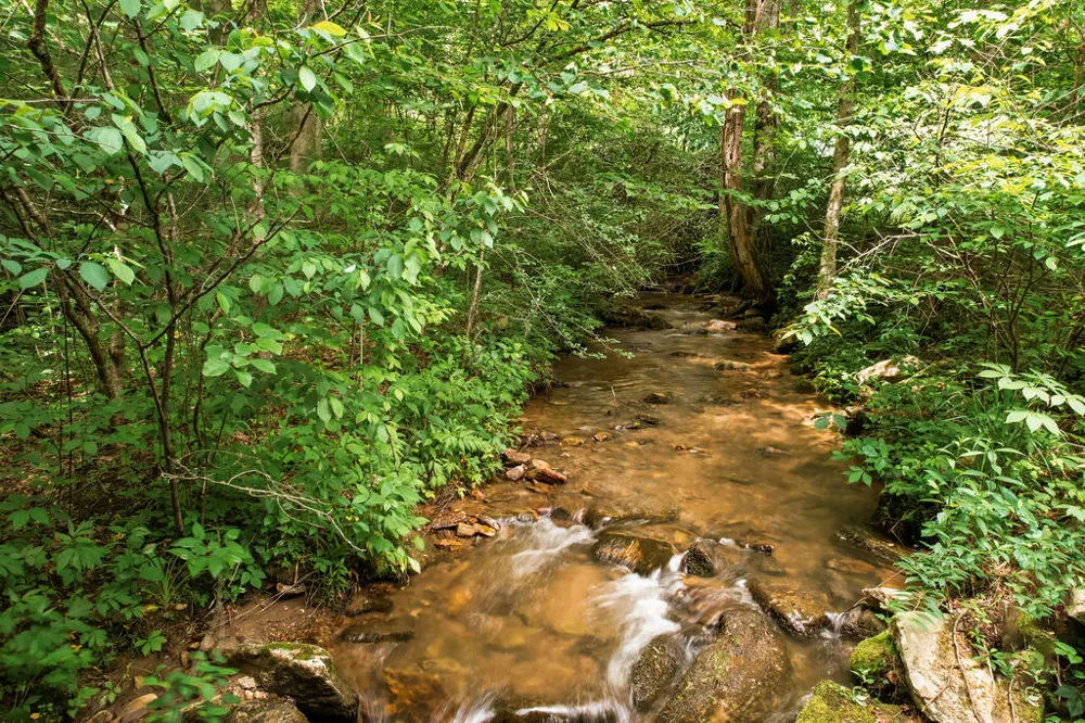 Walnut Creek Road Franklin, NC 28734