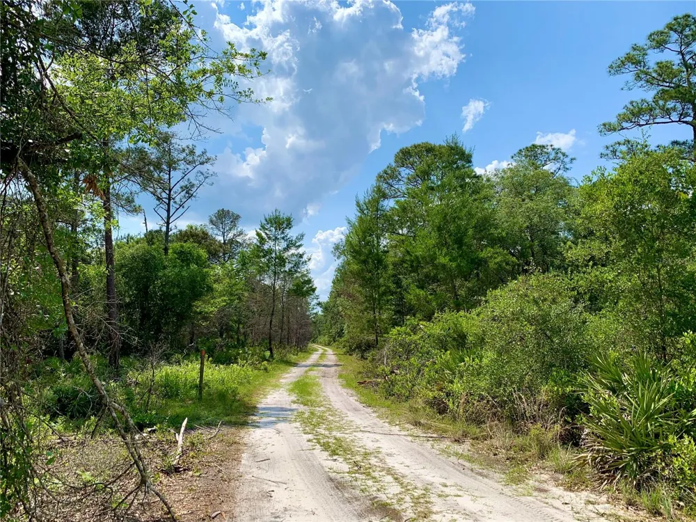 39627 GREENBRIER STREET Eustis, FL 32736
