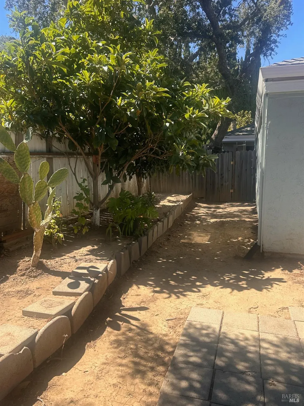 420 Marshall Road ##B Vacaville, CA 95688