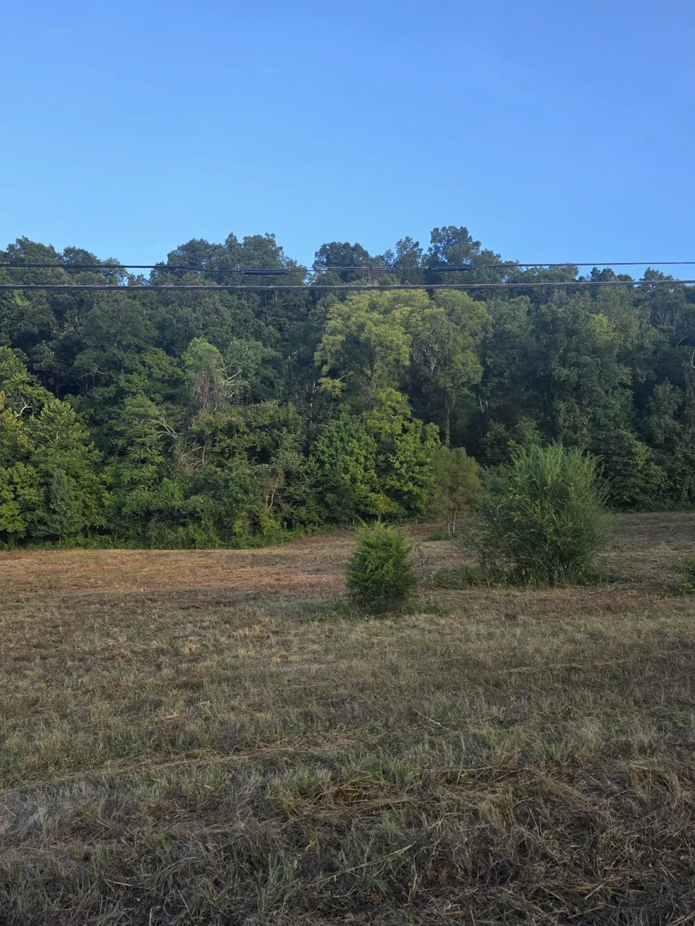 0 Baptist Church Rd Culleoka, TN 38451