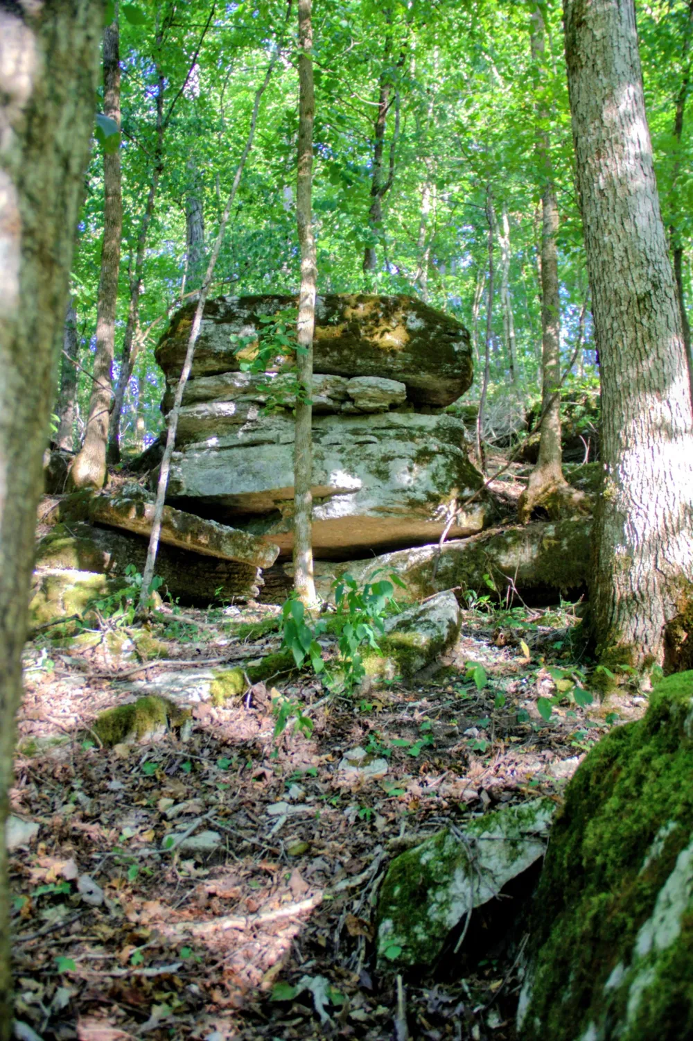 0 Baptist Church Rd Culleoka, TN 38451