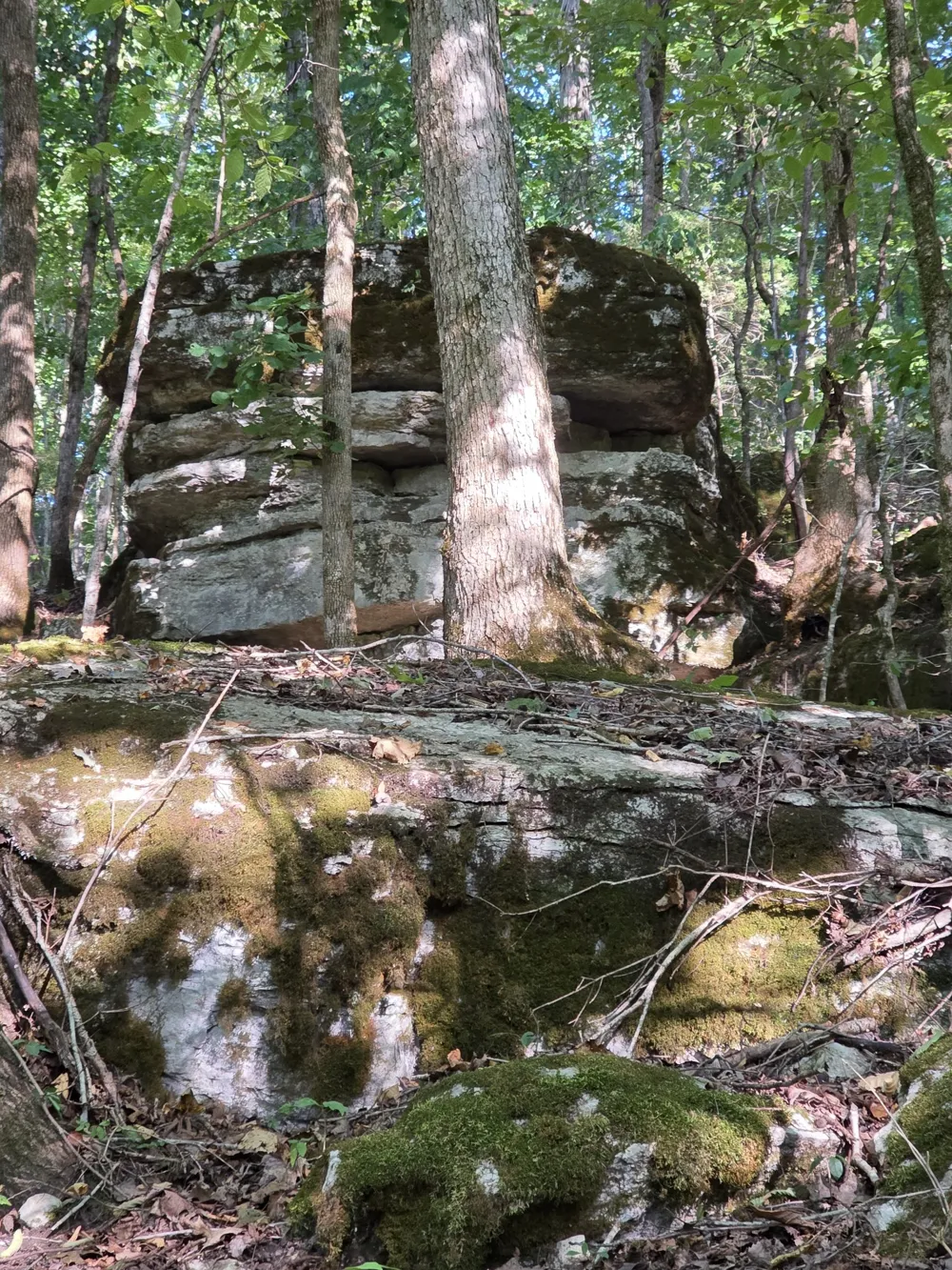0 Baptist Church Rd Culleoka, TN 38451