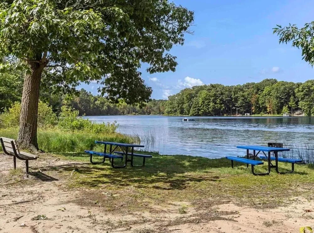 4721 E Sanford Lake Drive Almira Township, MI 49650